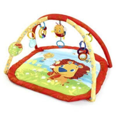 ACTIVITY-MAT-Lion-in-the-park