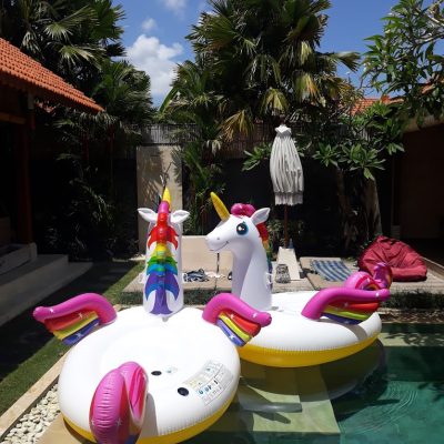Floaties-unicorn